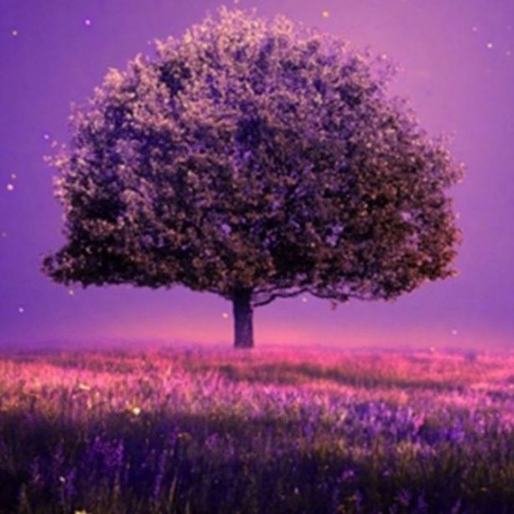 Meet your Posher, Genesis